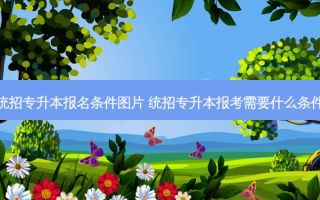 统招专升本报名条件图片 统招专升本报考需要什么条件