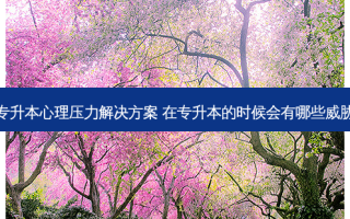 专升本心理压力解决方案 在专升本的时候会有哪些威胁
