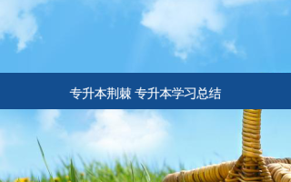 专升本荆棘 专升本学习总结