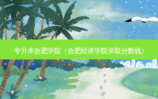 专升本合肥学院（合肥经济学院录取分数线）