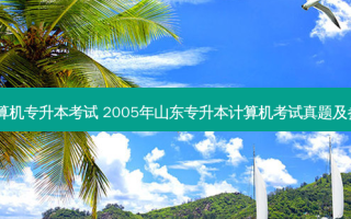 18年计算机专升本考试 2005年山东专升本计算机考试真题及参考答案