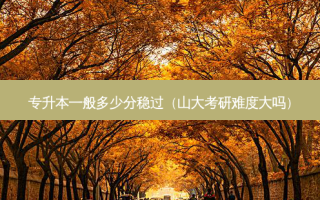专升本一般多少分稳过（山大考研难度大吗）