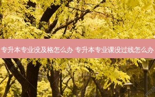 专升本专业没及格怎么办 专升本专业课没过线怎么办