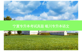 宁夏专升本考试真题 银川专升本语文