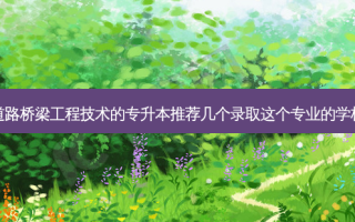 道路桥梁工程技术的专升本推荐几个录取这个专业的学校
