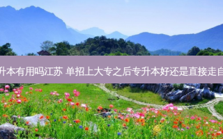 单招自考专升本有用吗江苏 单招上大专之后专升本好还是直接走自考本科好啊