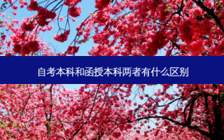 自考本科和函授本科两者有什么区别