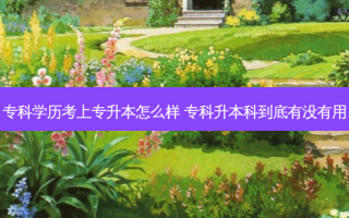 专科学历考上专升本怎么样 专科升本科到底有没有用