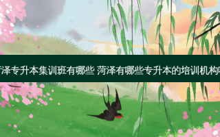 菏泽专升本集训班有哪些 菏泽有哪些专升本的培训机构啊