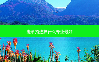 走单招选择什么专业 *** 好
