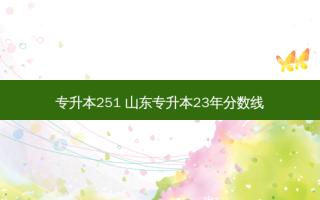 专升本251 山东专升本23年分数线