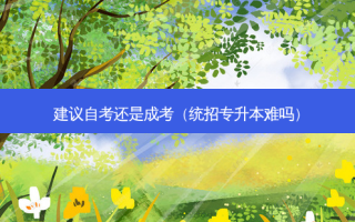 建议自考还是成考（统招专升本难吗）