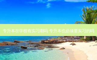 专升本在学校有实习期吗 专升本也必须要实习的吗
