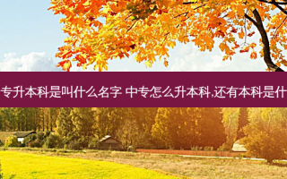 中专升本科是叫什么名字 中专怎么升本科,还有本科是什么