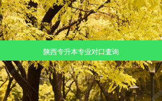 陕西专升本专业对口查询