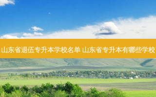 山东省退伍专升本学校名单 山东省专升本有哪些学校