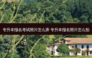 专升本报名考试照片怎么弄 专升本报名照片怎么拍