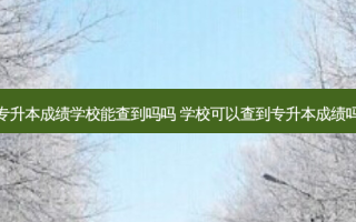 专升本成绩学校能查到吗吗 学校可以查到专升本成绩吗