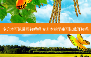 专升本可以带耳钉吗吗 专升本的学生可以戴耳钉吗