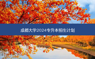 成都大学2024专升本招生计划