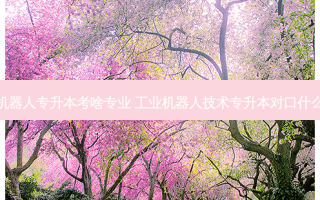 工业机器人专升本考啥专业 工业机器人技术专升本对口什么专业