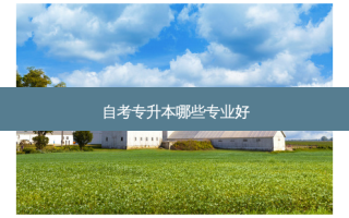 自考专升本哪些专业好