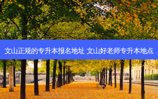 文山正规的专升本报名地址 文山好老师专升本地点
