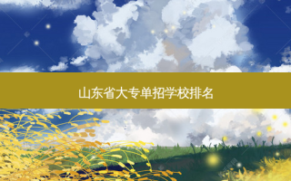 山东省大专单招学校排名