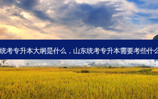 山东统考专升本大纲是什么，山东统考专升本需要考些什么科目