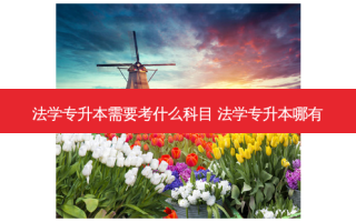 法学专升本需要考什么科目 法学专升本哪有