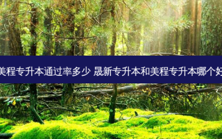 美程专升本通过率多少 晟新专升本和美程专升本哪个好