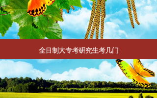 全日制大专考研究生考几门