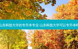 山东科技大学的专升本专业 山东科技大学可以专升本吗