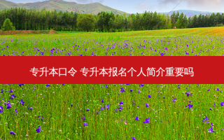 专升本口令 专升本报名个人简介重要吗