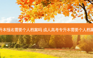 专升本报名需要个人档案吗 成人高考专升本需要个人档案么