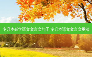 专升本必学语文文言文句子 专升本语文文言文用法