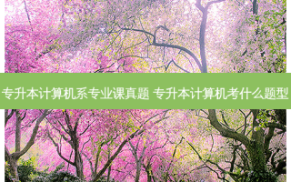 专升本计算机系专业课真题 专升本计算机考什么题型
