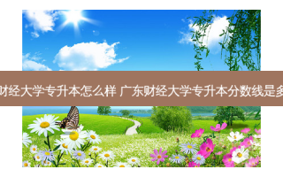 广州财经大学专升本怎么样 广东财经大学专升本分数线是多少分