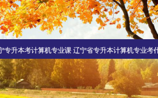 辽宁专升本考计算机专业课 辽宁省专升本计算机专业考什么