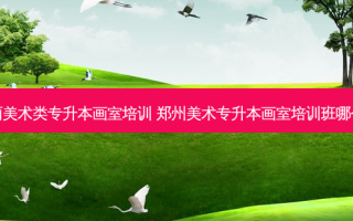 东丽美术类专升本画室培训 郑州美术专升本画室培训班哪个好