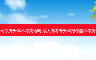成考可以专升本不考英语吗 成人高考专升本报考能不考英语吗