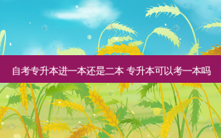 自考专升本进一本还是二本 专升本可以考一本吗