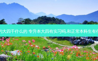 专升本的大四干什么的 专升本大四有实习吗,和正常本科生有什么区别