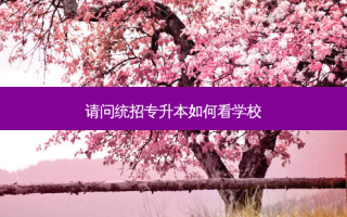 请问统招专升本如何看学校
