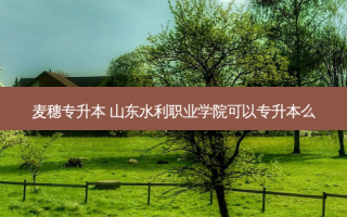麦穗专升本 山东水利职业学院可以专升本么