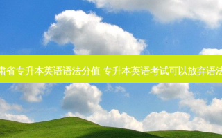 甘肃省专升本英语语法分值 专升本英语考试可以放弃语法吗