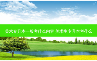 美术专升本一般考什么内容 美术生专升本考什么