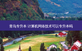 青鸟专升本 计算机 *** 技术可以专升本吗