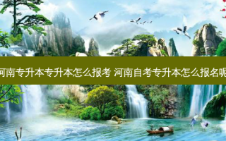 河南专升本专升本怎么报考 河南自考专升本怎么报名呢