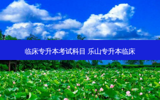 临床专升本考试科目 乐山专升本临床